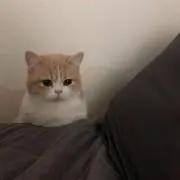 もあの画像