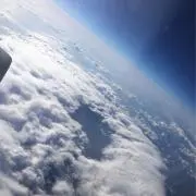 EgTの画像