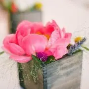 だいごろうの画像