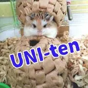 UNI-ten❁小さなちぐら屋さん♫sbの画像