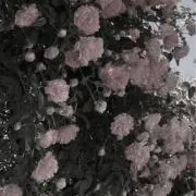 mm   プロフ必読の画像