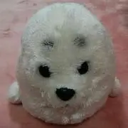 ぐぅーぐ