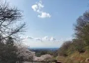 はるるんの画像