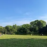 KJの画像