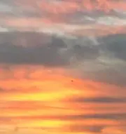 もんじ