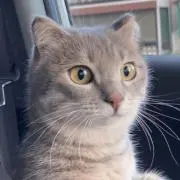ささみまる商事の画像