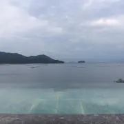 トシの画像