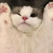 ししゃも