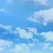 かめさん