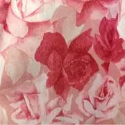 ちゃむちゃむ