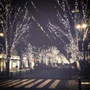 ringringの画像