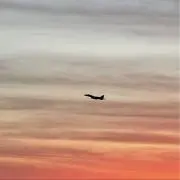 HAKUの画像