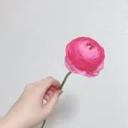 るん。◎当日or翌日発送◎の画像