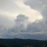 みお
