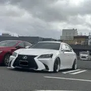 かいの画像