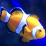 草なぎ
