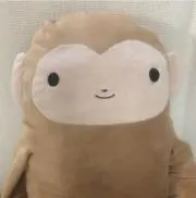 ポンポンの画像