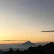 鼠先輩の画像