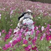 必ずプロフ読んでねヽ(^o^)の画像
