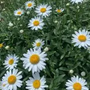 ^_^