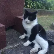 なーさんの画像