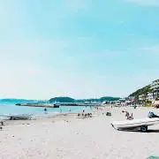 Monetの画像