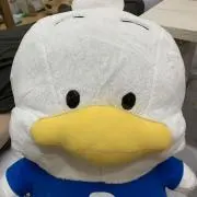 たくの画像