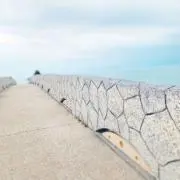momoの画像