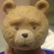 いぬの画像