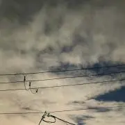 せいな
