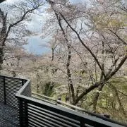 Dogerの画像