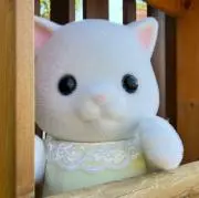 Anne❤️コメントなし＆即購入OK❣️の画像