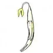 もやしくん