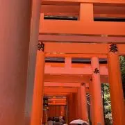 ライオンやんの画像