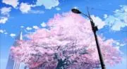 フジ※値下げ交渉不可 、即購入OKです！の画像