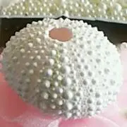 UNIKKO