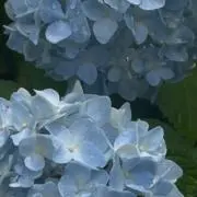 ぱや【プロフィール一読お願いいたします】の画像