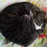 まる