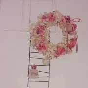 ノン