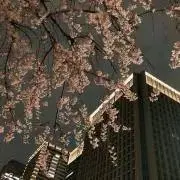 ゆうの画像