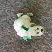 にかちゃんの画像
