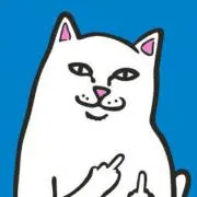 いぬ居ぬの画像