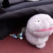 まだおの画像