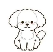 即日発送のcocoの画像
