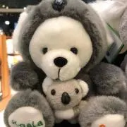 Mamimiの画像