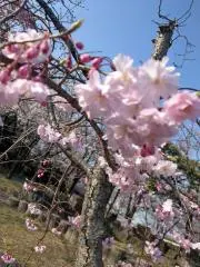 もんちゃん♪ショップ【猫います♪】の画像