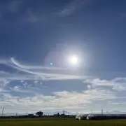 コンソメの画像