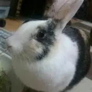 ゆかちん