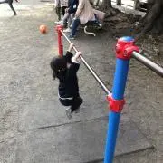 ハナハナオヤジ