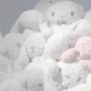 ぴよまる